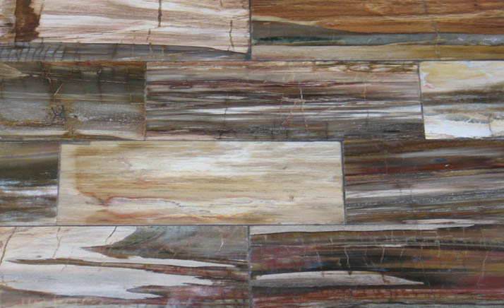 LONG CUT PETRIFIED WOOD