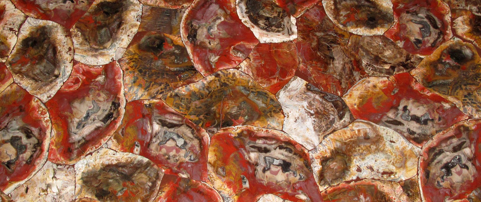 Red Petrified Wood Slab